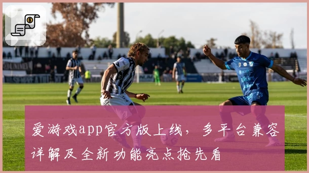 爱游戏app官方版上线,多平台兼容详解及全新功能亮点抢先看