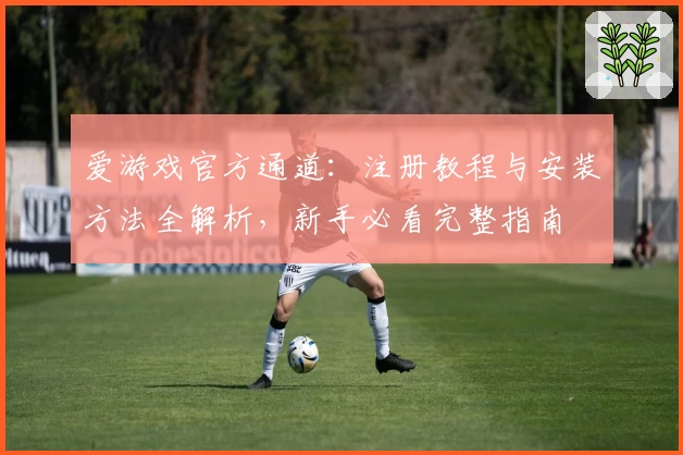 爱游戏官方通道：注册教程与安装方法全解析，新手必看完整指南